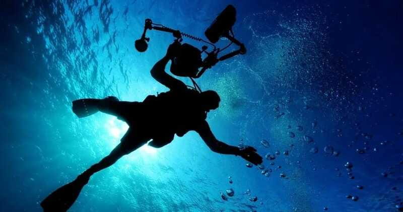 Cancun: MUSA Diving for certified divers morning dive trip - Practical details that make the day easier