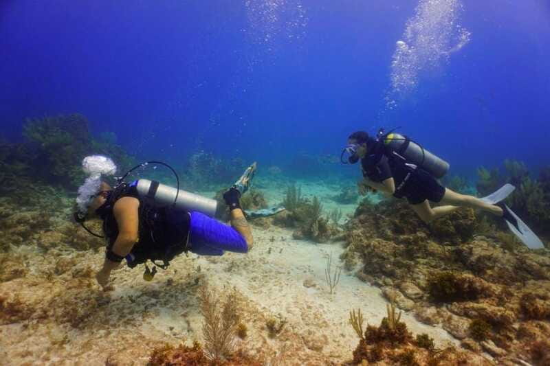 Cancun: MUSA Diving for certified divers morning dive trip - Should you book MUSA with My Deep Life?