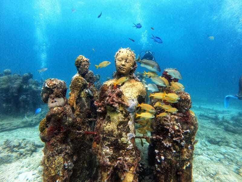 Cancun: Musa Underwater Museum & Reef Discover Scuba Diving - Who should book this experience