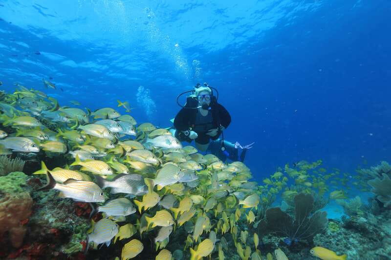 Cancun: Scuba Diving for Beginners, 2 Dives - Key points at a glance
