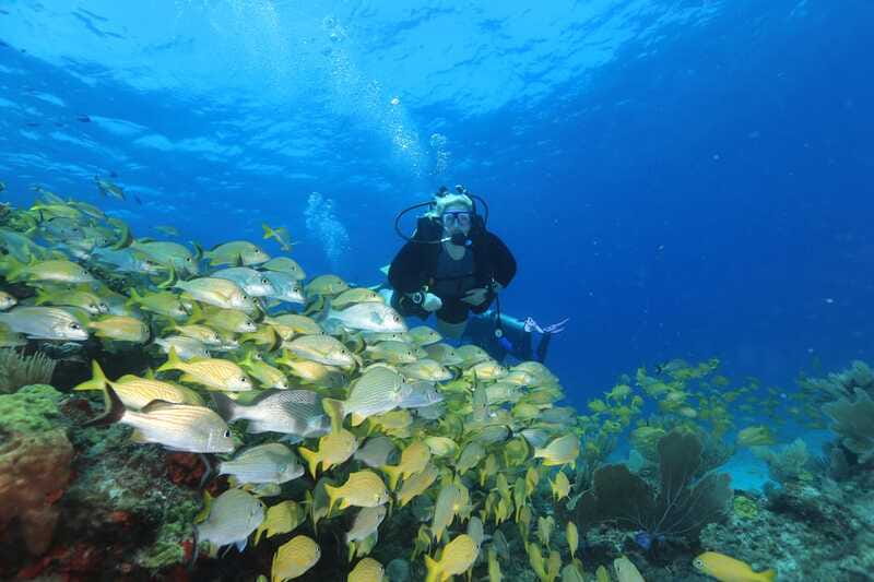 Cancun: Scuba Diving for Beginners, 2 Dives - What the small group changes