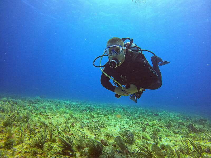 Cancun: Scuba Diving for Certified Divers, 3 options to dive - Key points to know before booking