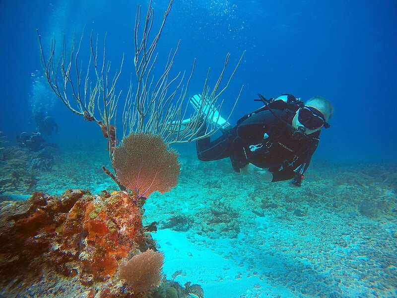 Cancun: Scuba Diving for Certified Divers, 3 options to dive - Medical rules and flight timing