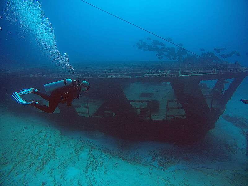 Cancun: Scuba Diving for Certified Divers, 3 options to dive - Who should book this Cancun underwater outing?