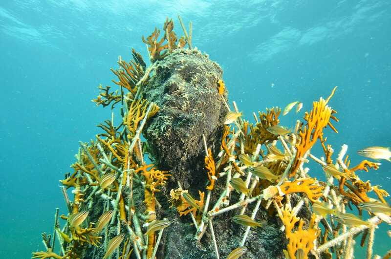 Cancún: Underwater Museum & Reef for Certified Scuba Divers - Key details before you book