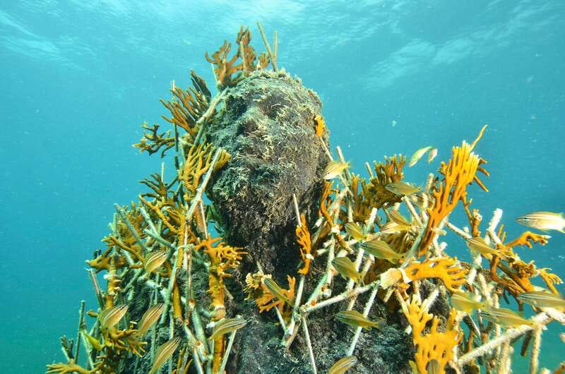 Cancún: Underwater Museum & Reef for Certified Scuba Divers - Why Cancún’s underwater museum is worth your time