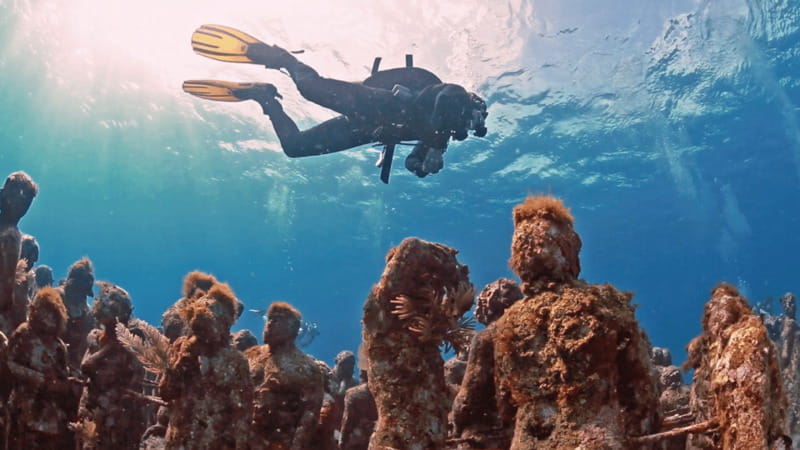 Cancún: Underwater Museum & Reef for Certified Scuba Divers - Second underwater outing: Manchones Reef’s natural marine life