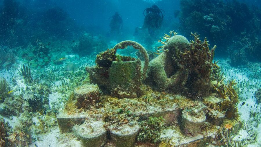 Cancún: Underwater Museum & Reef for Certified Scuba Divers - Timing, cancellations, and the practical details