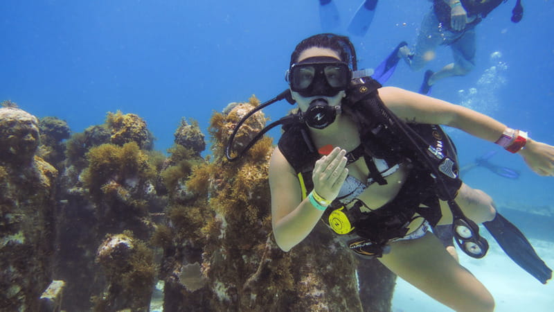 Cancún: Underwater Museum & Reef for Certified Scuba Divers - Who will enjoy this trip most