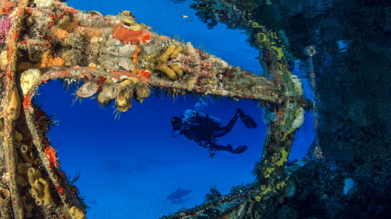 Cancún: Wreck and Reef for Certified Scuba Divers - The General Anaya at 85 feet