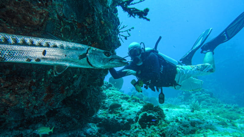 Cancún: Wreck and Reef for Certified Scuba Divers - Why the instructor matters