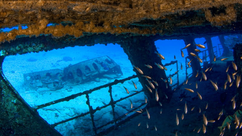 Cancún: Wreck and Reef for Certified Scuba Divers - Certification, age, and health rules