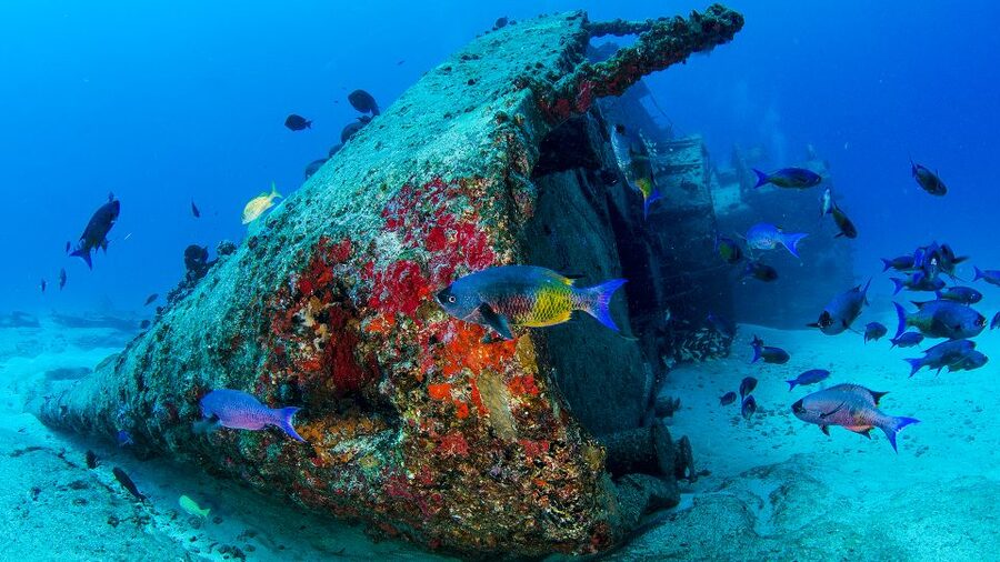 Cancún: Wreck and Reef for Certified Scuba Divers - Photos, wetsuits, and what to bring