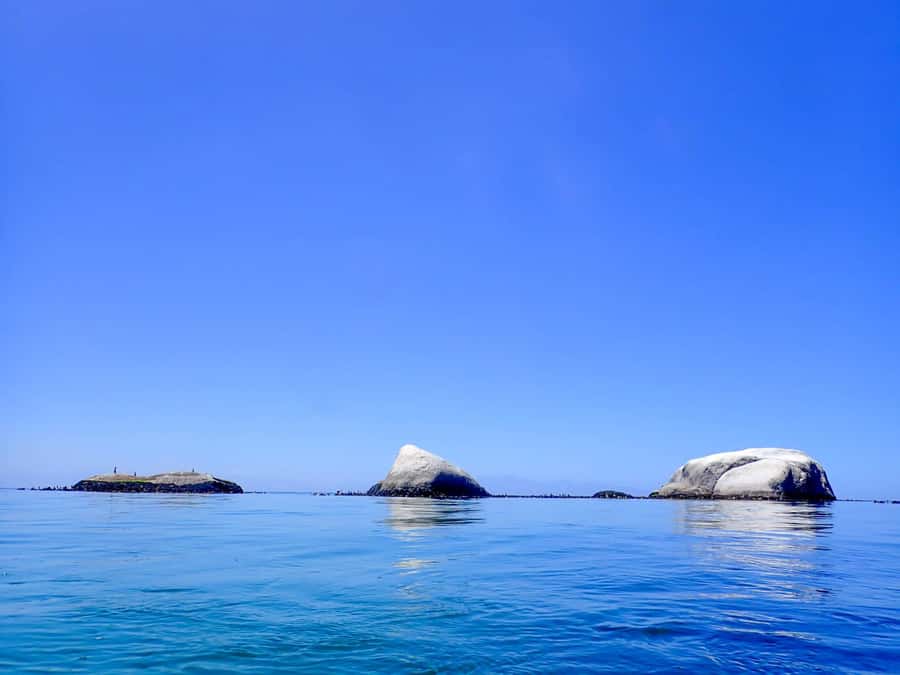 Cape Town: Discover Scuba Diving - 1 day experience - Getting fitted with full scuba equipment
