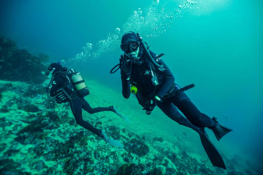 Cape Town: Discover Scuba Diving - 1 day experience - The safety briefing before you enter the sea