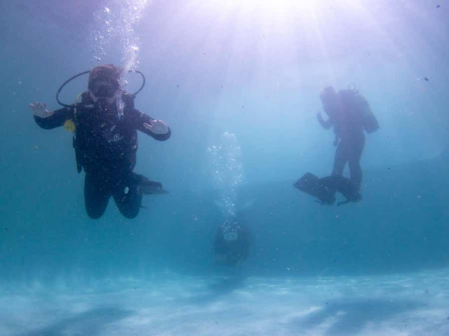 Cape Town: Discover Scuba Diving - 1 day experience - At least 45 minutes among the Cape kelp