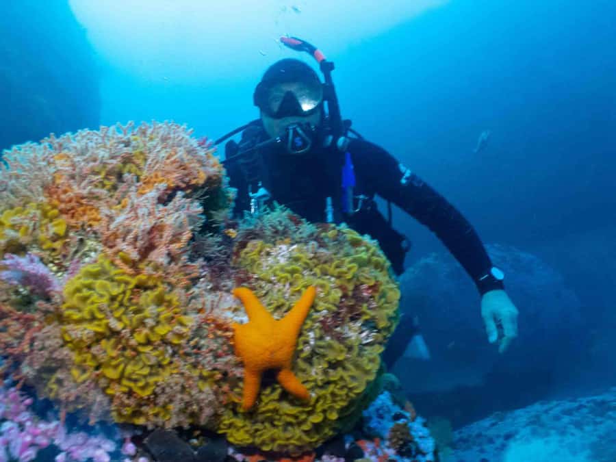 Cape Town: Discover Scuba Diving - 1 day experience - What makes the small group worth paying for