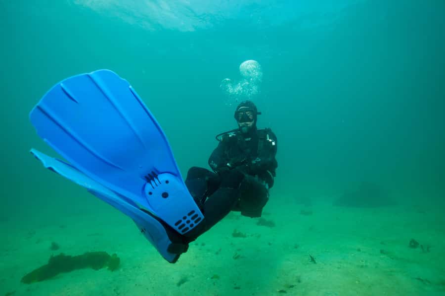 Cape Town: Discover Scuba Diving - 1 day experience - Your first hour: PADI e-learning and the basic lesson