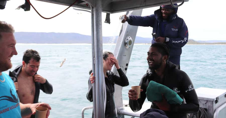 Cape Town: Gansbaai Eco-Friendly Shark Cage Diving Cruise - Meeting bronze whaler sharks face to face