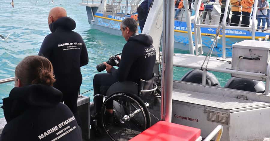 Cape Town: Gansbaai Eco-Friendly Shark Cage Diving Cruise - Is $237 a fair price?