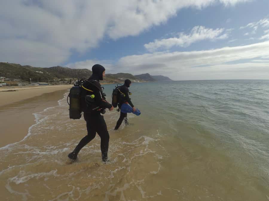 Cape Town: Scuba Diving Experience for Beginners - What makes Cape Town’s underwater side special