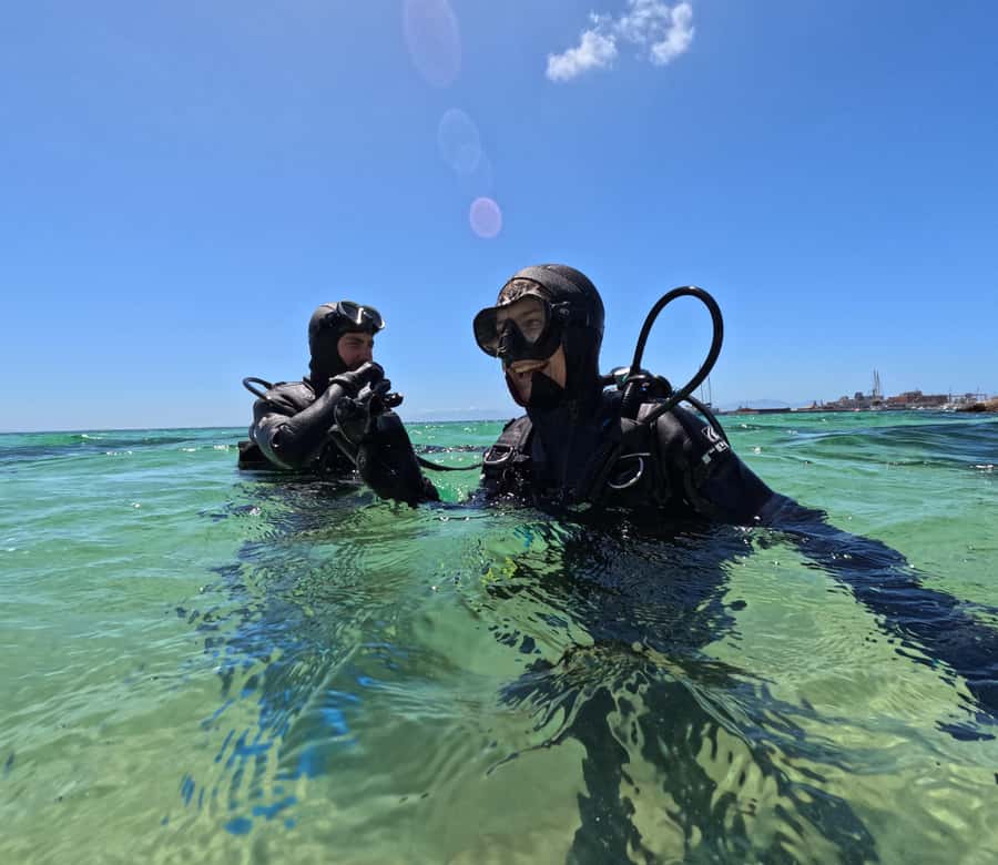 Cape Town: Scuba Diving Experience for Beginners - Choosing the underwater site in Simon’s Town