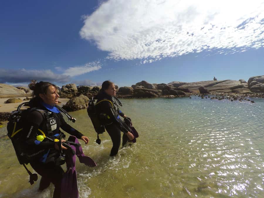 Cape Town: Scuba Diving Experience for Beginners - Why the beginner approach works