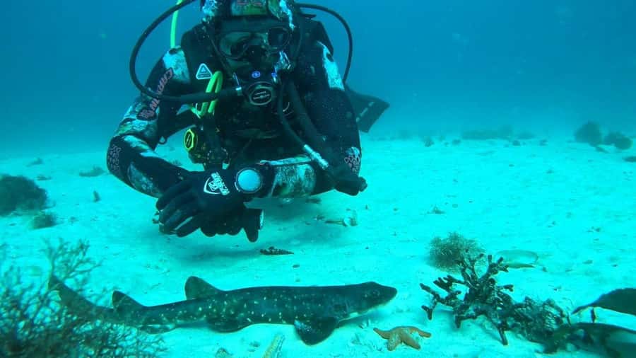 Cape Town: Scuba Diving Experience for Beginners - The cost: what $112 includes