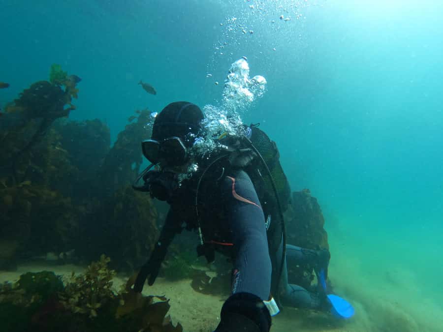 Cape Town: Scuba Diving Experience for Beginners - Practical tips for a smoother session