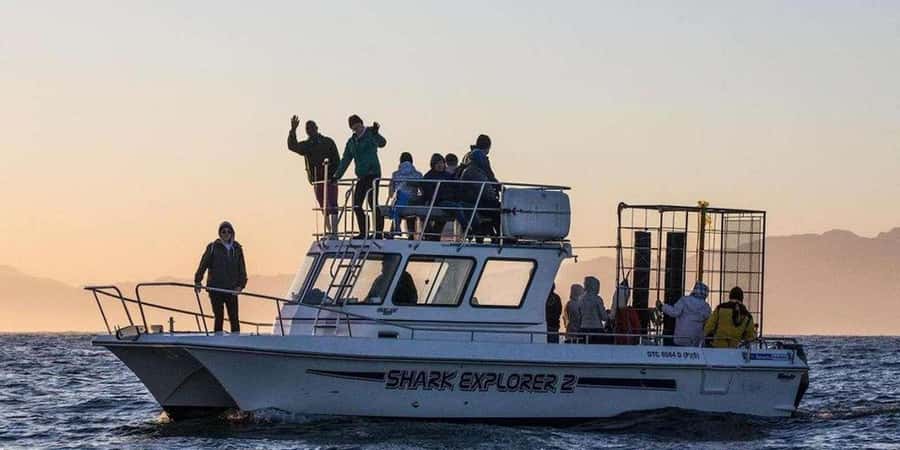 Cape Town: Shark Cage Diving Tour (with Breakfast & Lunch) - Why Gansbaai makes this a full-day adventure