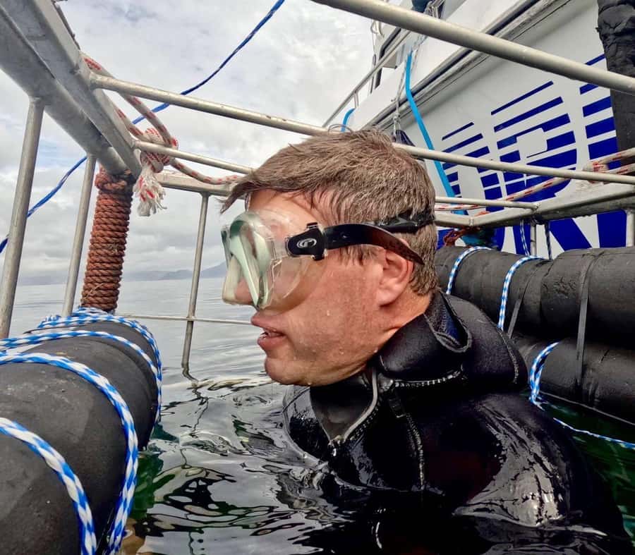 Cape Town: Shark Cage Diving with Snacks and Soft Drinks - Key points to know before booking