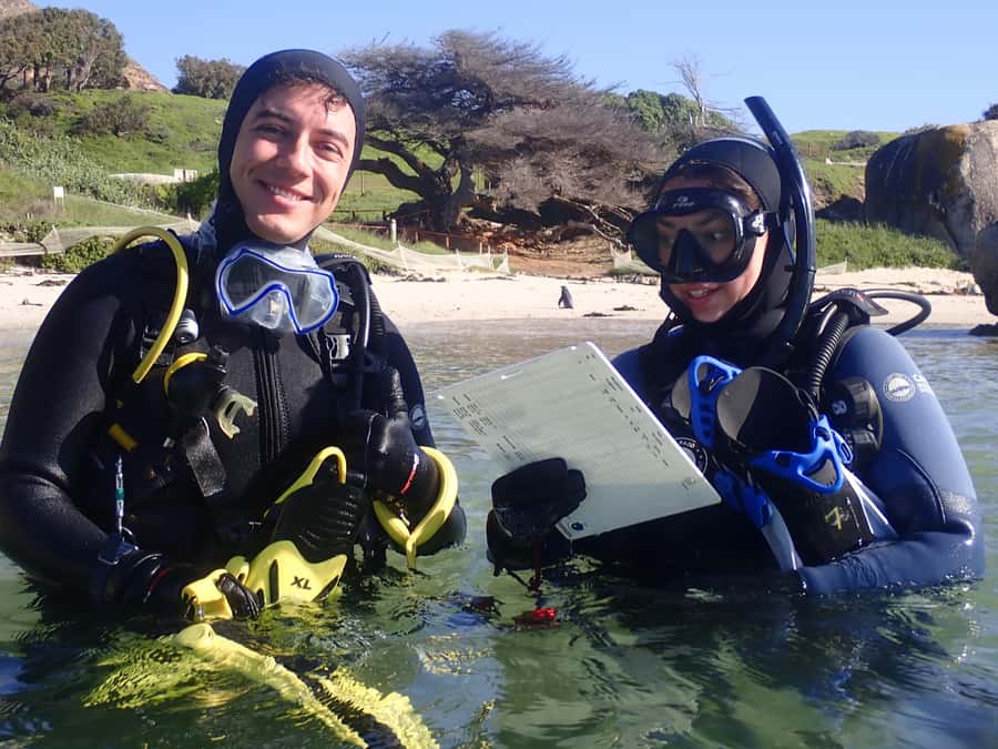 Cape Town: Shark Science SCUBA Diving Experience - What makes this Simon’s Town outing different