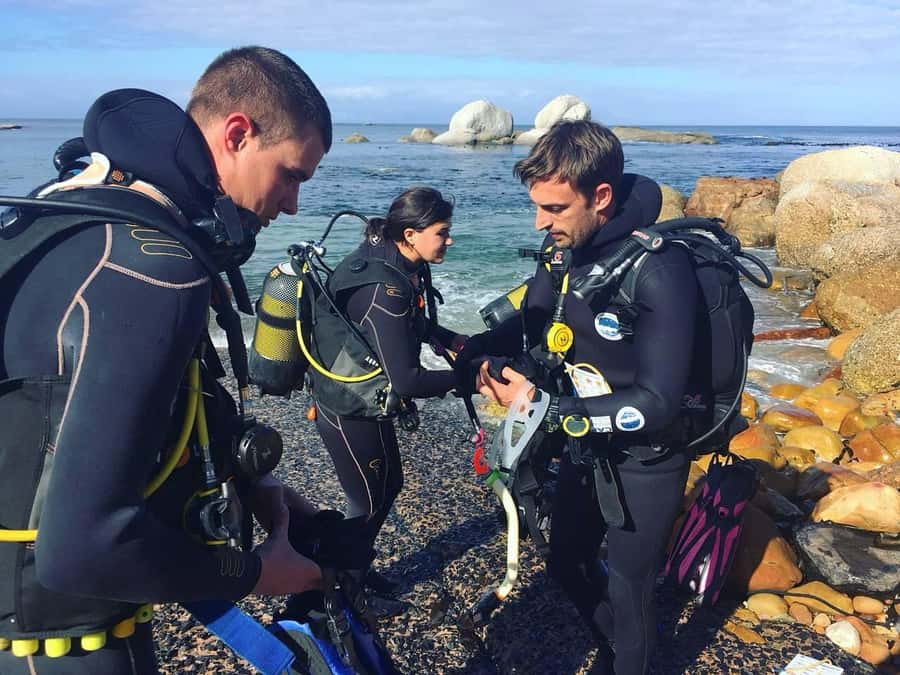 Cape Town: Shark Science SCUBA Diving Experience - A warm drink, equipment rinse, and data entry
