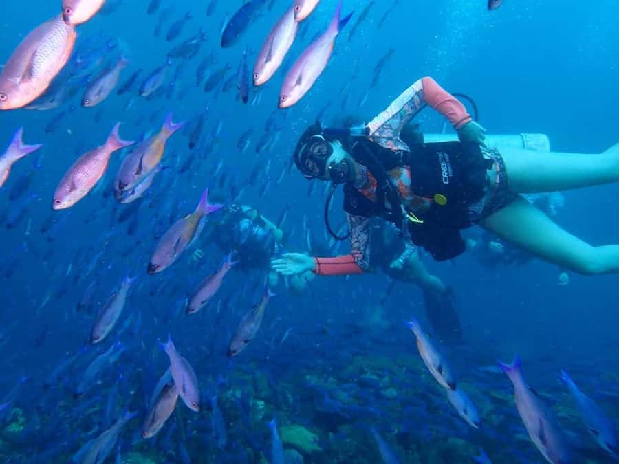 Cartagena: 2 Tanks Dive Plan For CERTIFIED DIVERS - Two long underwater sessions, not a rushed introduction