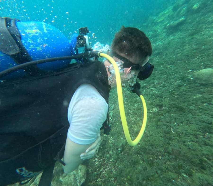 Cartagena: Basic Diving for beginners in Rosario Islands - Key points at a glance