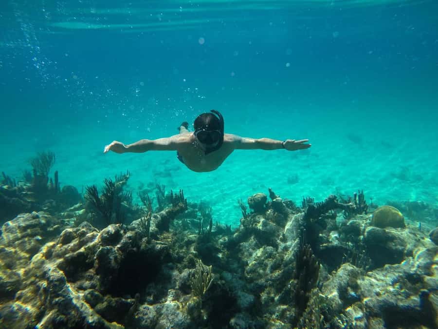 Cartagena: Basic Diving for beginners in Rosario Islands - Playa Blanca gives the day a pleasant base