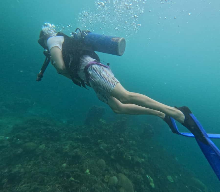 Cartagena: Basic Diving for beginners in Rosario Islands - A 15-minute boat ride to Corales del Rosario