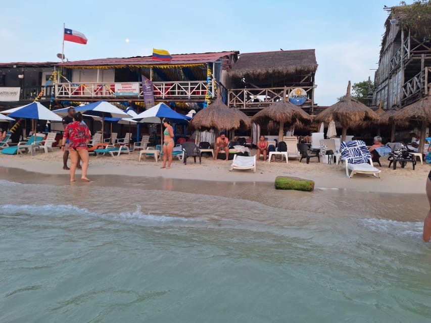Cartagena: Basic Diving for beginners in Rosario Islands - One hour among coral and marine life