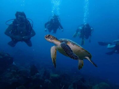 Cartagena: PADI Open Water Diver Course with Certification