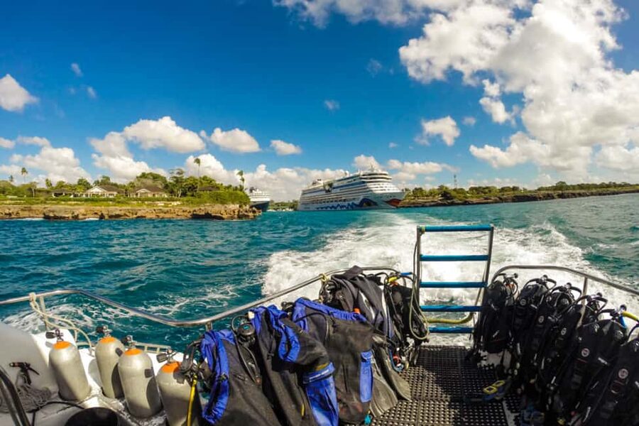 Catalina Island Scuba Diving Tour from Punta Cana - Timing, weather, and practical planning