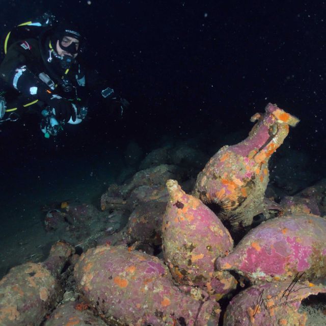Catania : Diving for patented divers - Lava reefs, plants, shells, and fish