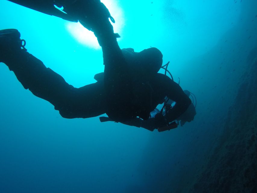 Catania: Gulf Scuba Diving Tour with Marine Biologist - What You See Below the Surface