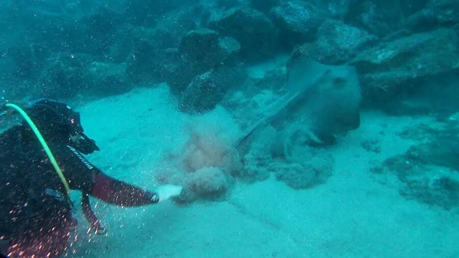 Catania: Gulf Scuba Diving Tour with Marine Biologist - How the 3.5-Hour Schedule Usually Feels