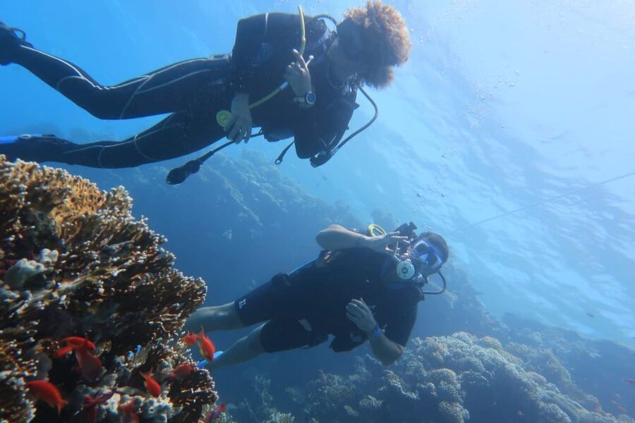Catania: Gulf Scuba Diving Tour with Marine Biologist - Languages, Group Feel, and Practical Comfort