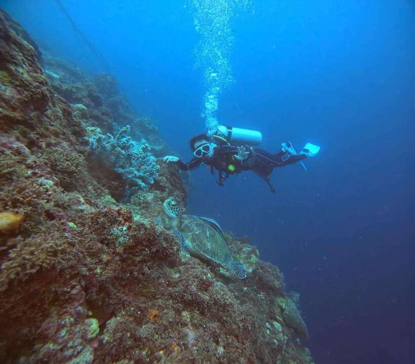 Cebu: Beach Scuba Diving Experience - Safety and comfort under the surface