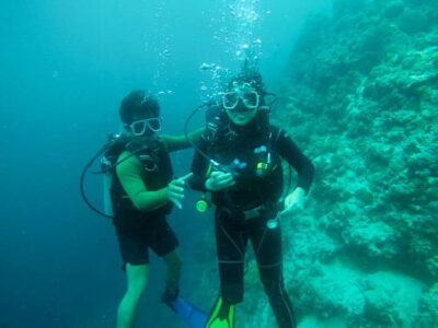 Cebu: Moalboal Scuba Diving with Sardines and Turtle Snorkel