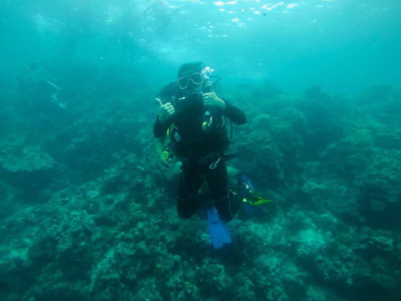 Cebu: Moalboal Scuba Diving with Sardines and Turtle Snorkel - Pescador Island: beautiful idea, uneven conditions