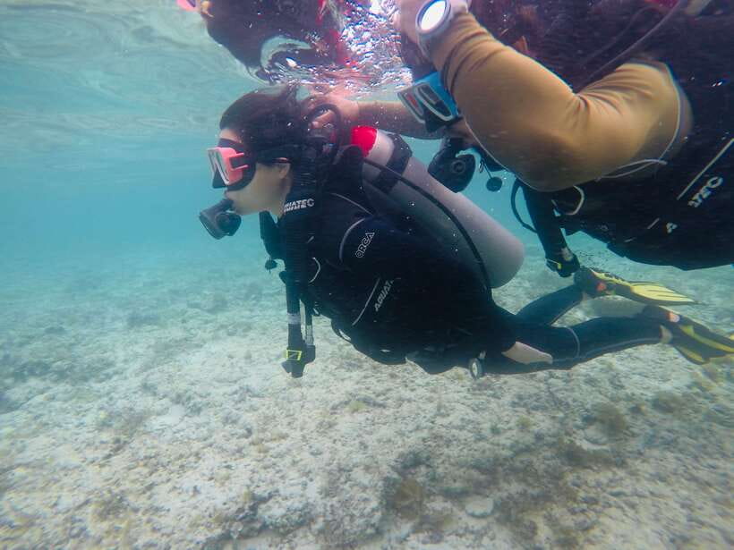 Cebu: Moalboal Scuba Diving with Sardines and Turtle Snorkel - The environmental side of the experience