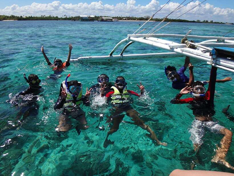 Cebu: Oslob Whaleshark Scuba Diving & Sumilon Sanctuary - What you may see at Sumilon Sanctuary