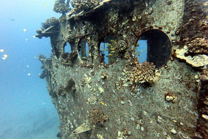 Certified Diver: 2-Tank Deep Wreck and Shallow Reef Dive Off Oahu - Two underwater worlds off Honolulu